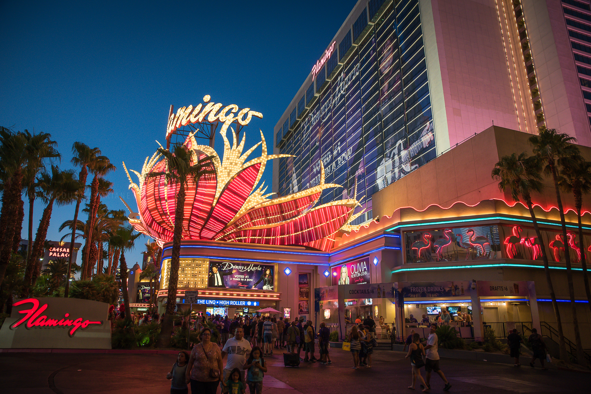 Vegas